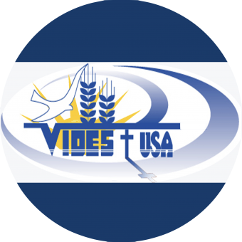 VIDES Logo